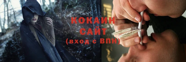 apvp Козельск