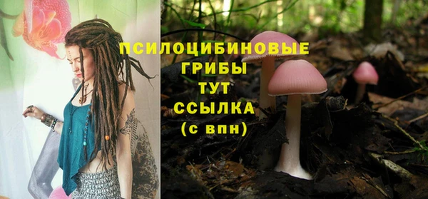 синтетический гашиш Коряжма