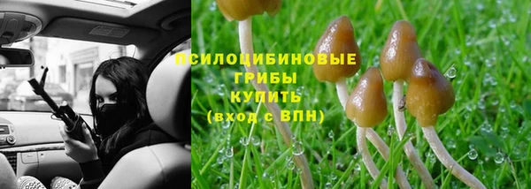 apvp Козельск