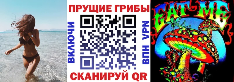 Купить где  Заречный  Галлюциногенные грибы MAGIC MUSHROOMS 